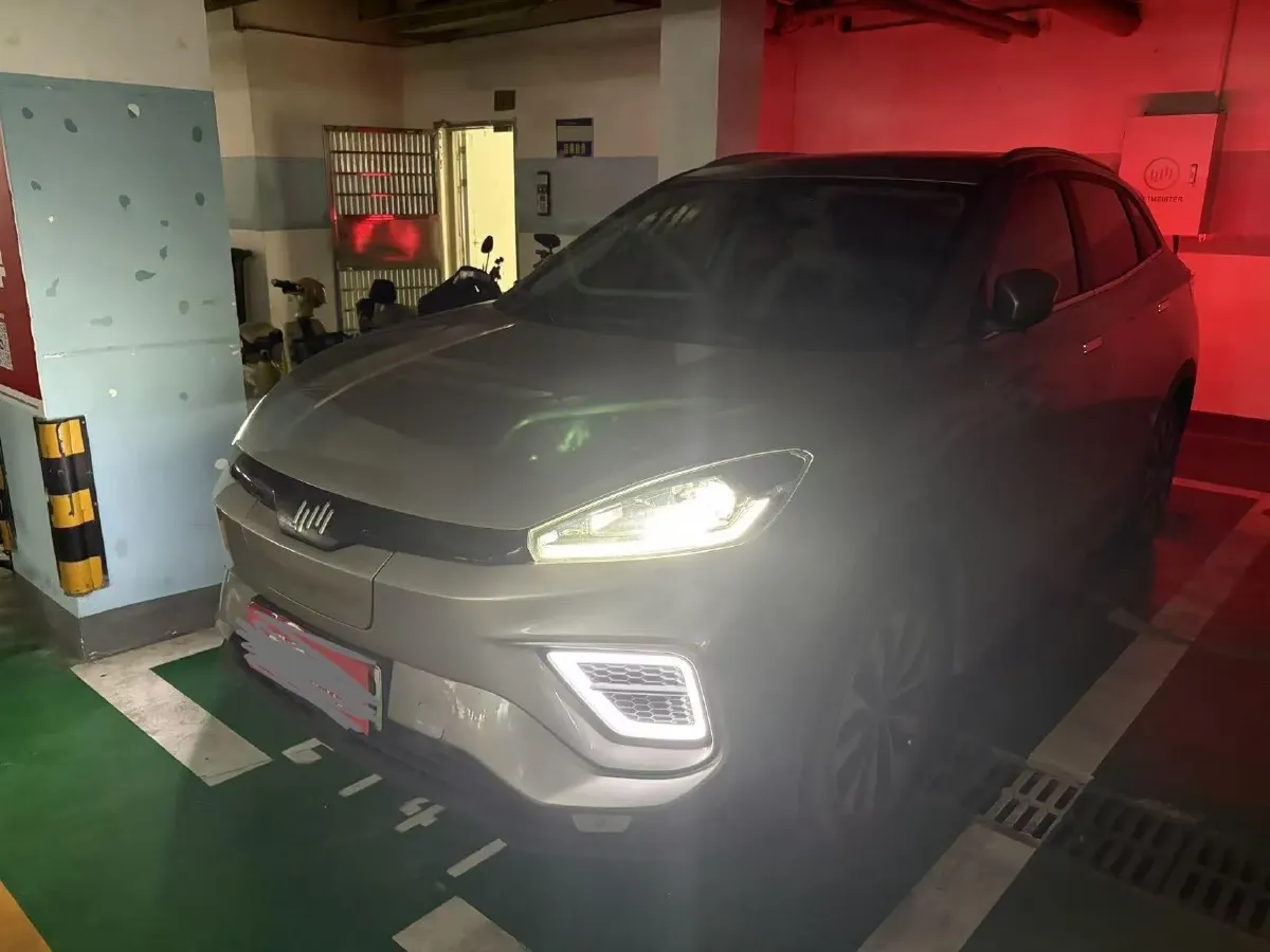 2020 Weltmeister EX5 BEV 52.56KWH,autocango,china used car exporter,china ev exporter,chinese used car exporter,chinese used ev exporter