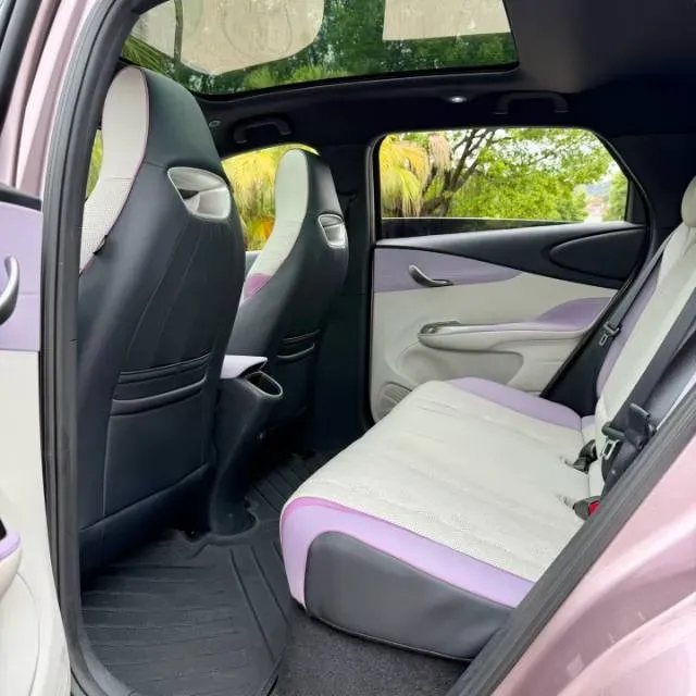 2023 BYD Dolphin BEV 44.928KWH,autocango,china used car exporter,china ev exporter,chinese used car exporter,chinese used ev exporter