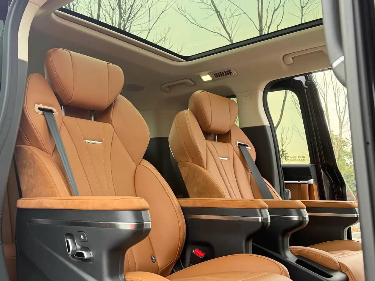 2024 HongQi HQ9 2.0T 163HP L4 1DHT PHEV 20.14KWH,autocango,china used car exporter,china ev exporter,chinese used car exporter,chinese used ev exporter