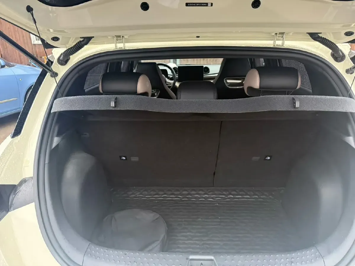 2023 BYD Dolphin BEV 44.928KWH,autocango,china used car exporter,china ev exporter,chinese used car exporter,chinese used ev exporter