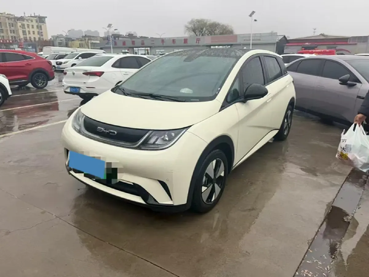 2023 BYD Dolphin BEV 44.928KWH,autocango,china used car exporter,china ev exporter,chinese used car exporter,chinese used ev exporter