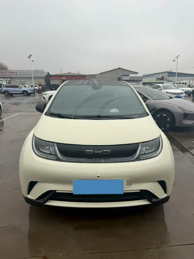 2023 BYD Dolphin BEV 44.928KWH,autocango,china used car exporter,china ev exporter,chinese used car exporter,chinese used ev exporter