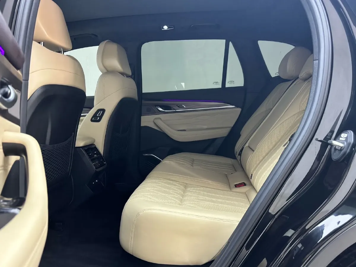 2025 Geely Monjaro 2.0T 238HP L4 8AT,autocango,china used car exporter,china ev exporter,chinese used car exporter,chinese used ev exporter