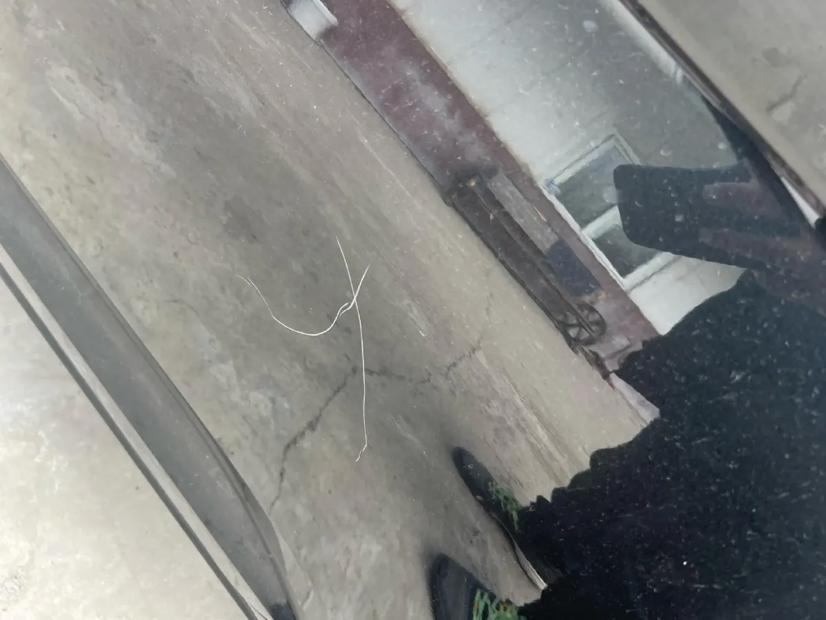 2024 Volkswagen Sagitar 1.2T 116HP L4 7DCT,autocango,china used car exporter,china ev exporter,chinese used car exporter,chinese used ev exporter