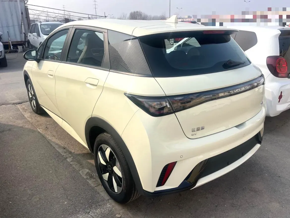 2025 BYD Dolphin BEV 44.928KWH,autocango,china used car exporter,china ev exporter,chinese used car exporter,chinese used ev exporter
