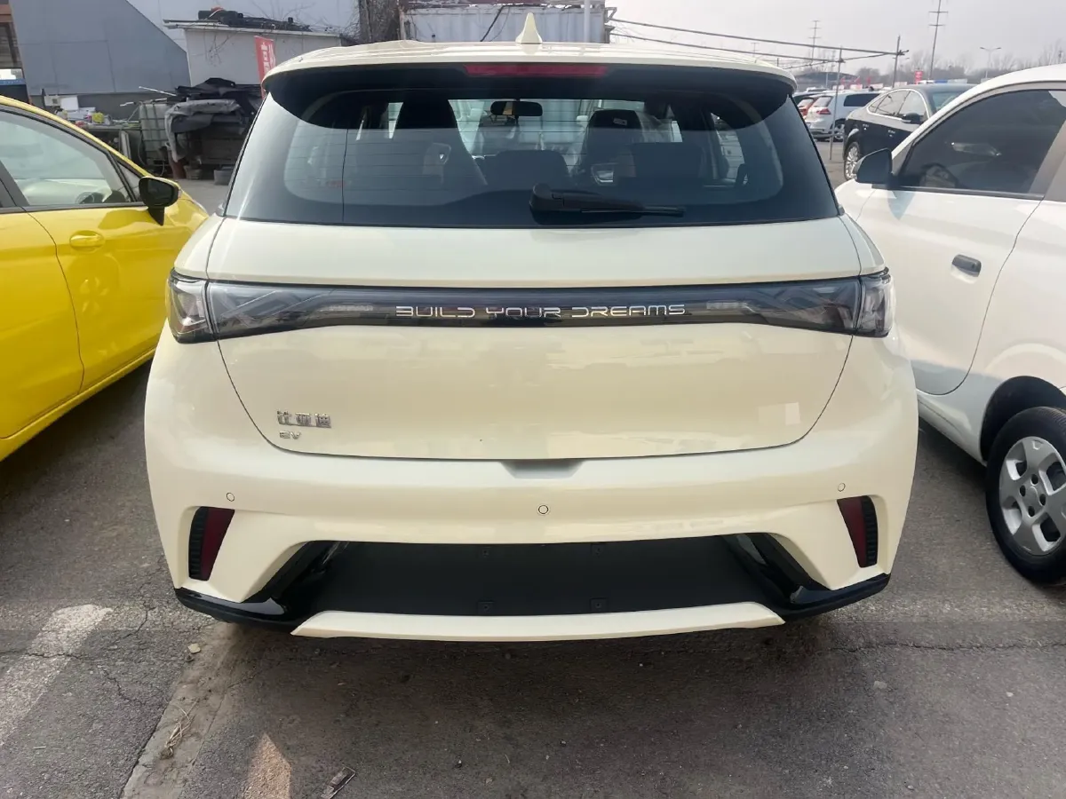 2025 BYD Dolphin BEV 44.928KWH,autocango,china used car exporter,china ev exporter,chinese used car exporter,chinese used ev exporter