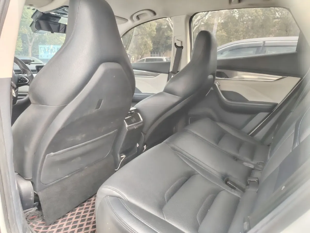 2021 Weltmeister EX5 BEV 52.704KWH,autocango,china used car exporter,china ev exporter,chinese used car exporter,chinese used ev exporter