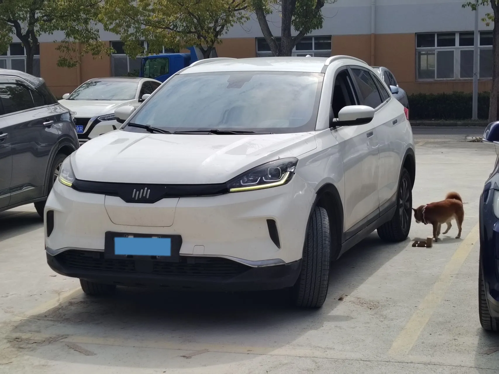 autocango,china used car exporter,china ev exporter,chinese used car exporter,chinese used ev exporter