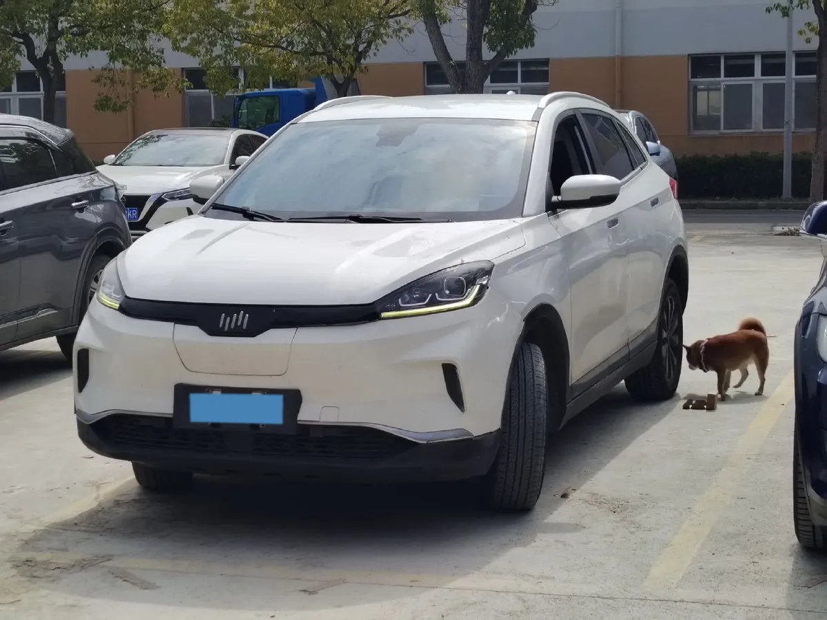 2021 Weltmeister EX5 BEV 52.704KWH,autocango,china used car exporter,china ev exporter,chinese used car exporter,chinese used ev exporter