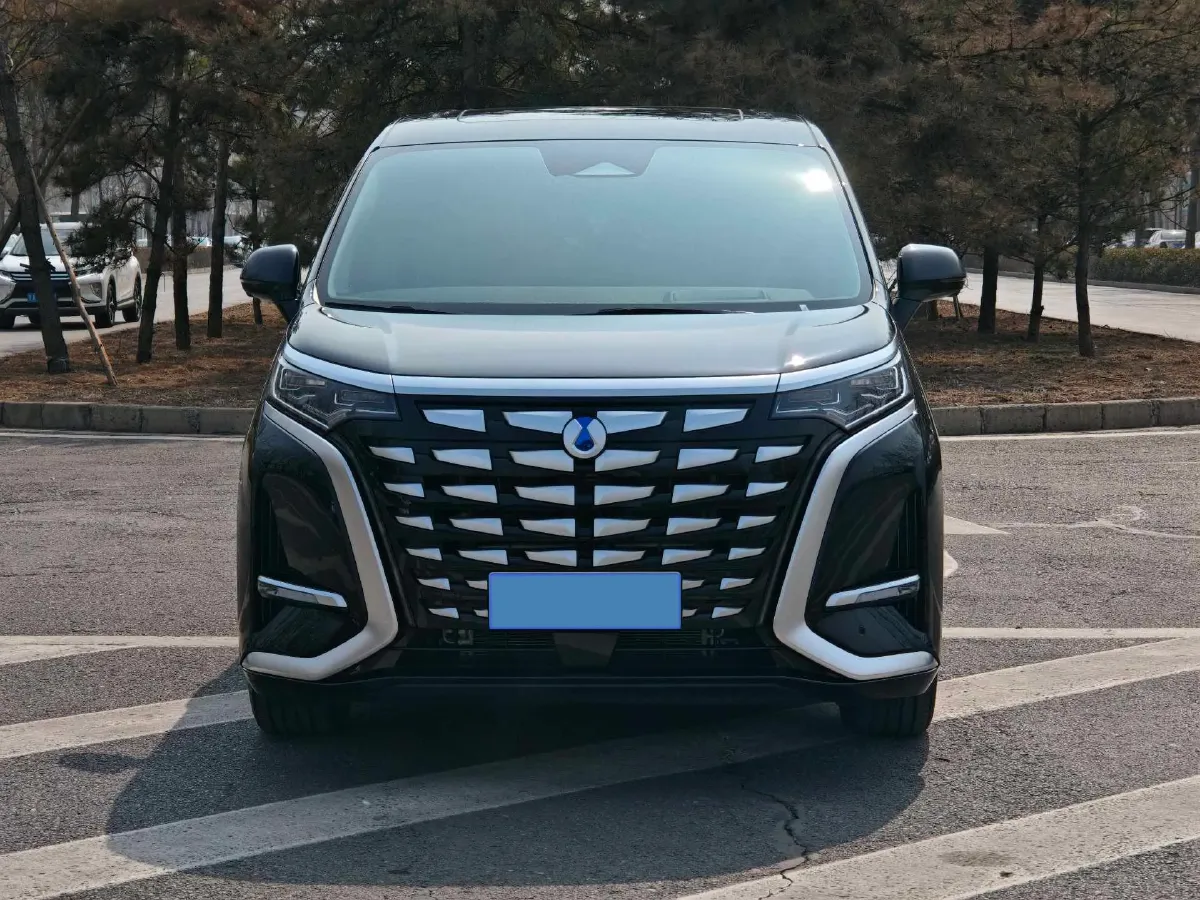 2024 Denza D9 1.5T 139HP L4 E-CVT PHEV 40KWH,autocango,china used car exporter,china ev exporter,chinese used car exporter,chinese used ev exporter