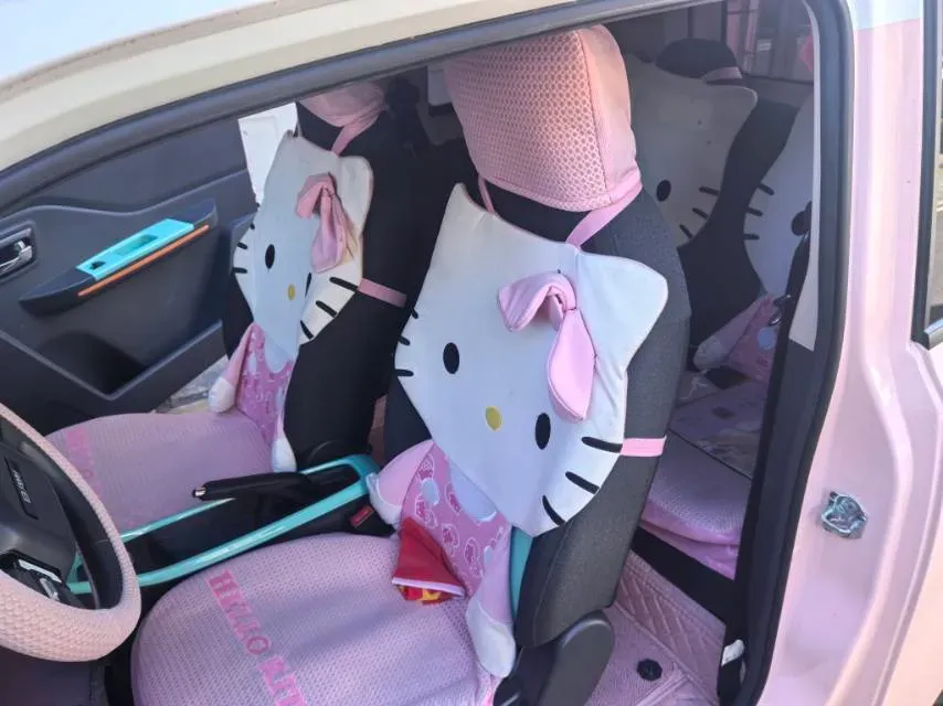 2022 BAW YuanBao BEV 9.6KWH,autocango,china used car exporter,china ev exporter,chinese used car exporter,chinese used ev exporter