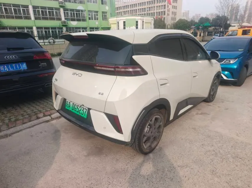 2025 BYD Seagull BEV,autocango,china used car exporter,china ev exporter,chinese used car exporter,chinese used ev exporter