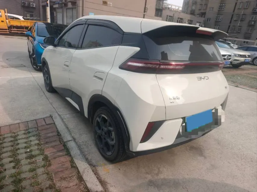 2025 BYD Seagull BEV,autocango,china used car exporter,china ev exporter,chinese used car exporter,chinese used ev exporter