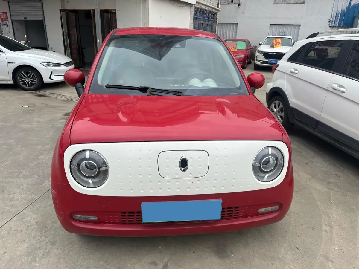 2019 Ora BlackCat BEV 33KWH,autocango,china used car exporter,china ev exporter,chinese used car exporter,chinese used ev exporter