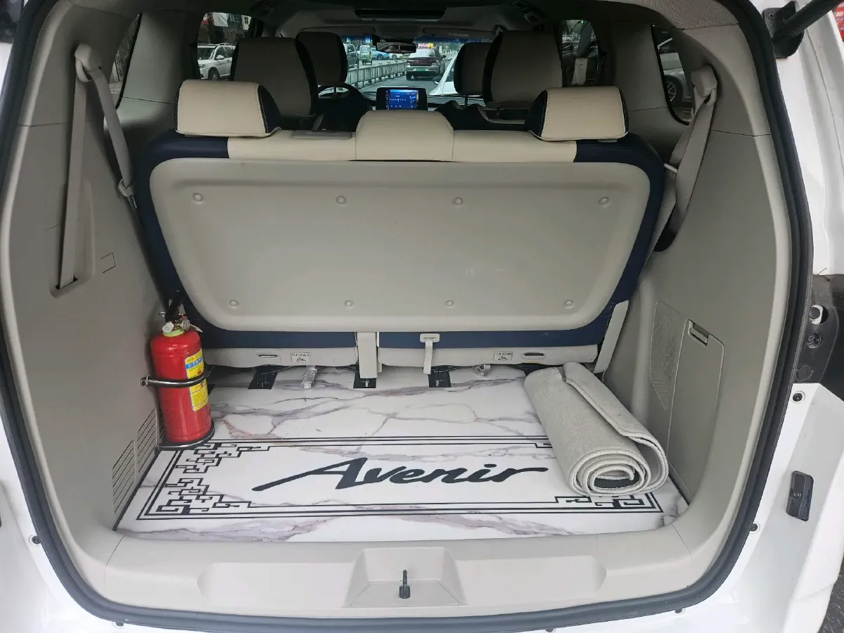 2021 Buick GL8 2.0T 237HP L4 9AT,autocango,china used car exporter,china ev exporter,chinese used car exporter,chinese used ev exporter