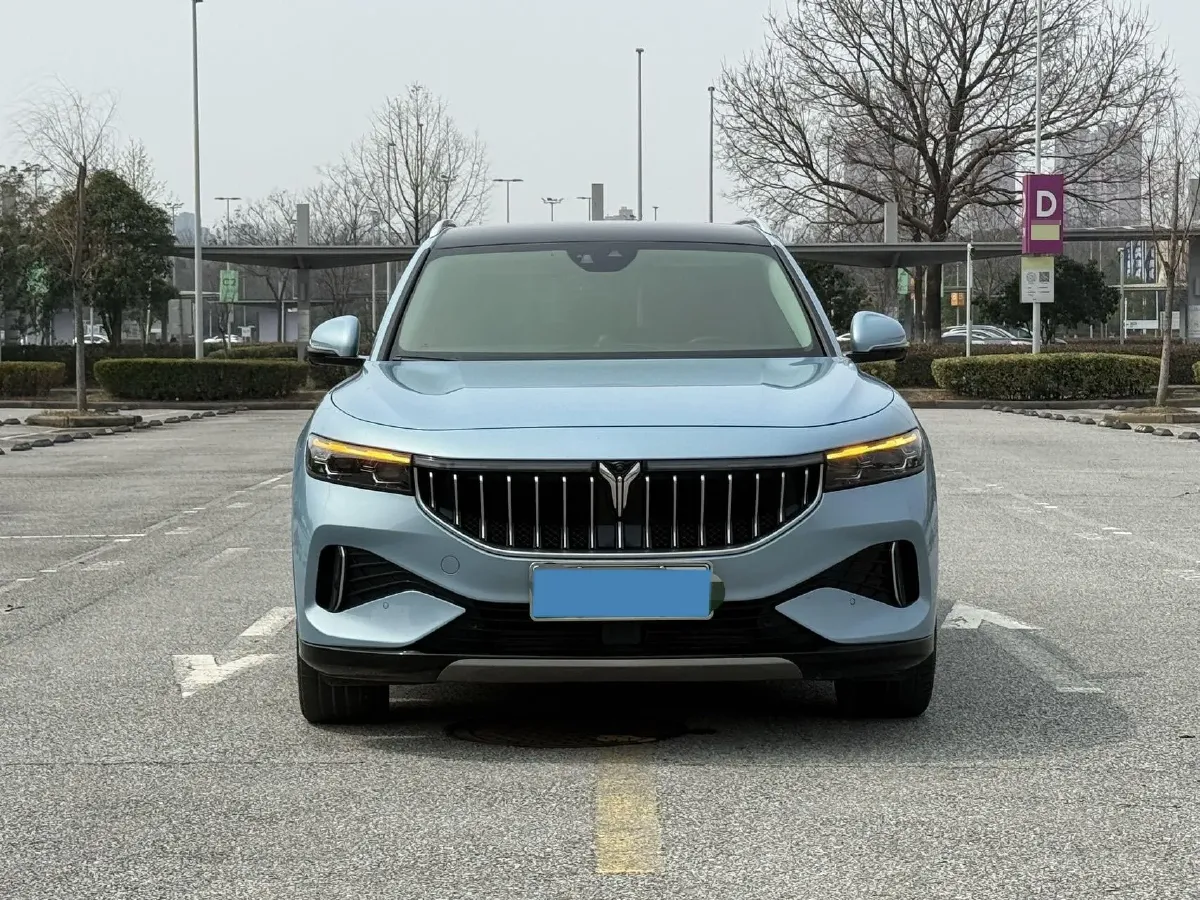 2021 Voyah FREE Range Extended 109HP REEV 33KWH,autocango,china used car exporter,china ev exporter,chinese used car exporter,chinese used ev exporter