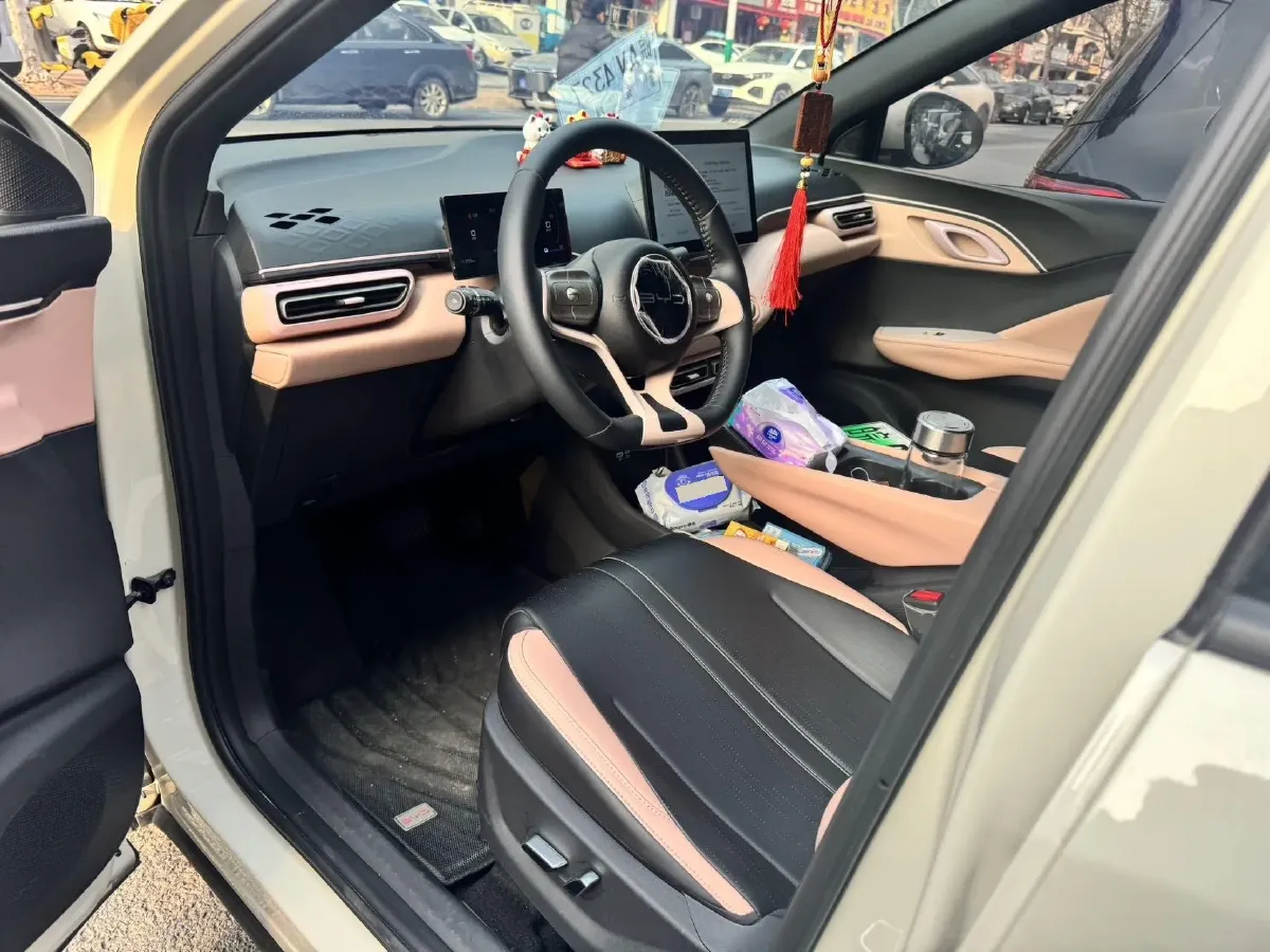 2025 BYD Seagull BEV 30.08KWH,autocango,china used car exporter,china ev exporter,chinese used car exporter,chinese used ev exporter