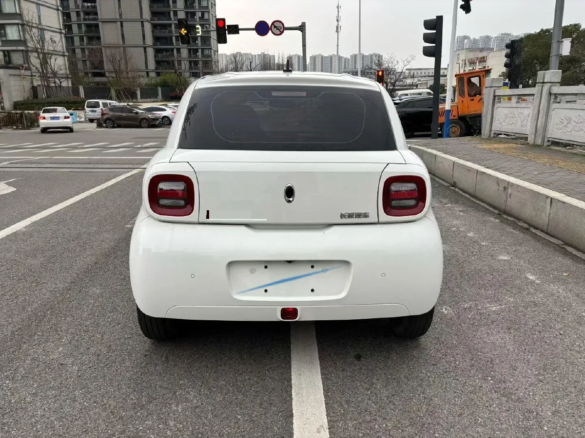 2021 Ora BlackCat BEV 28.5KWH,autocango,china used car exporter,china ev exporter,chinese used car exporter,chinese used ev exporter