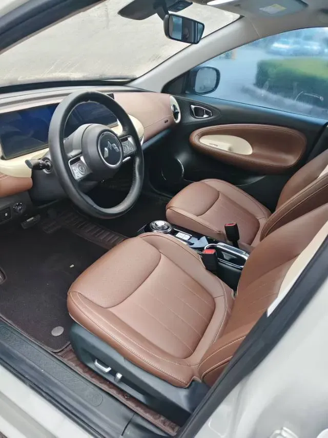 2023 WuLing BinGuo BEV 37.9KWH,autocango,china used car exporter,china ev exporter,chinese used car exporter,chinese used ev exporter