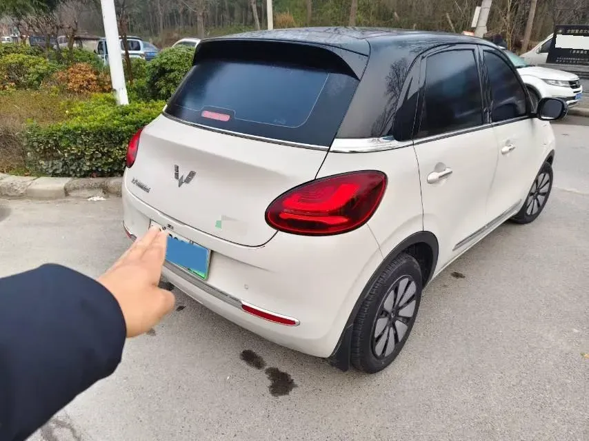 2023 WuLing BinGuo BEV 37.9KWH,autocango,china used car exporter,china ev exporter,chinese used car exporter,chinese used ev exporter