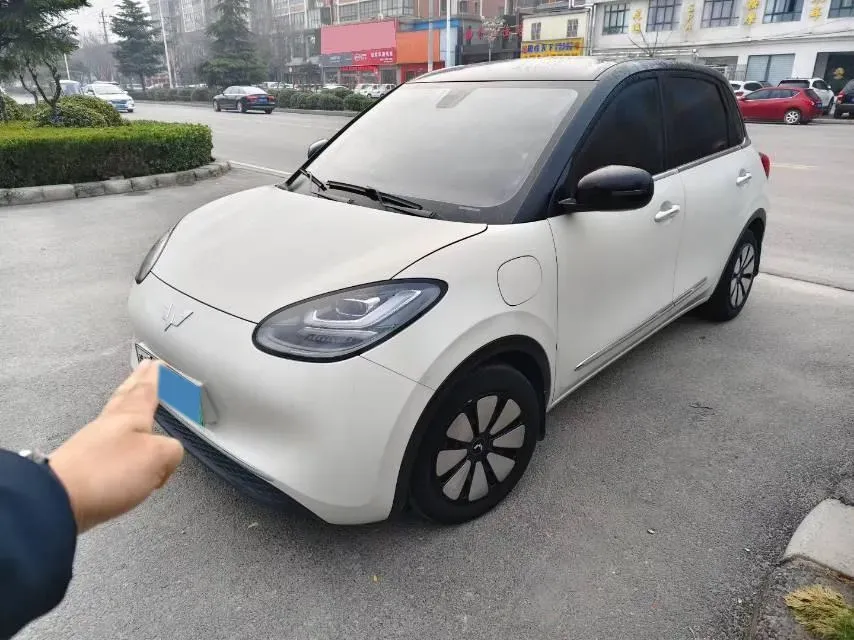 2023 WuLing BinGuo BEV 37.9KWH,autocango,china used car exporter,china ev exporter,chinese used car exporter,chinese used ev exporter