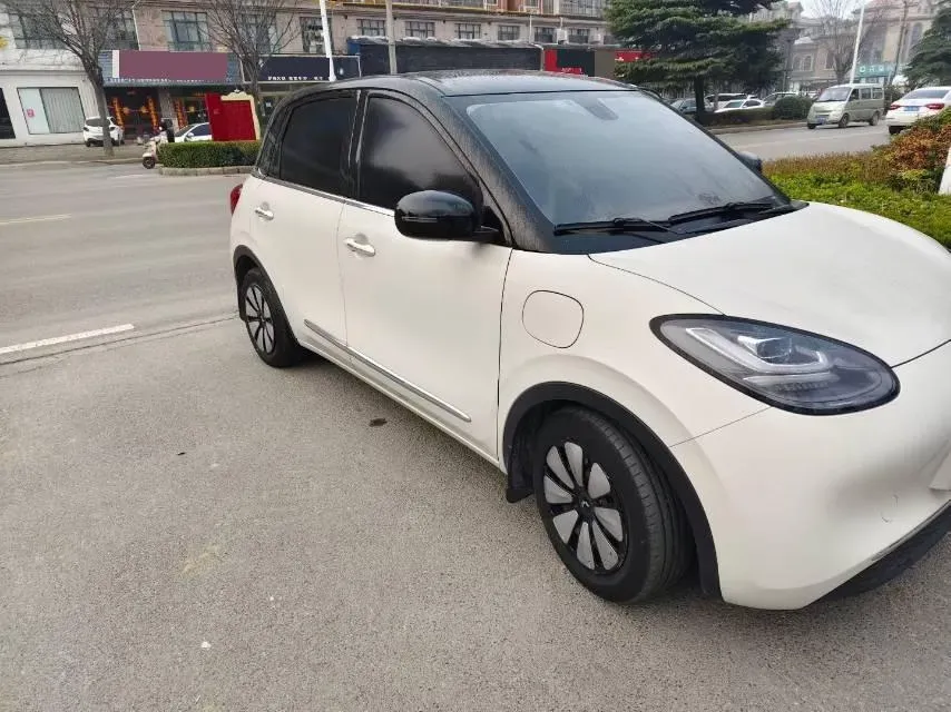2023 WuLing BinGuo BEV 37.9KWH,autocango,china used car exporter,china ev exporter,chinese used car exporter,chinese used ev exporter