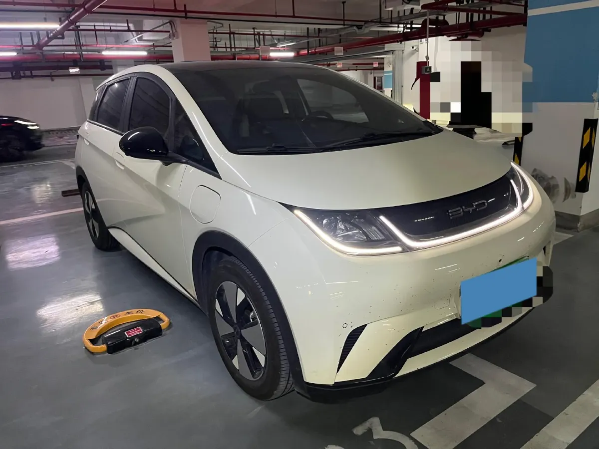 2023 BYD Dolphin BEV 44.928KWH,autocango,china used car exporter,china ev exporter,chinese used car exporter,chinese used ev exporter