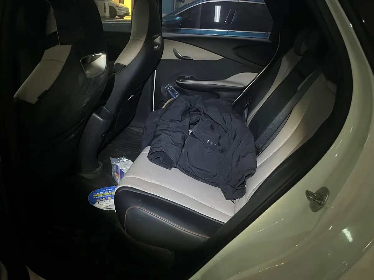 2023 BYD Dolphin BEV 44.928KWH,autocango,china used car exporter,china ev exporter,chinese used car exporter,chinese used ev exporter