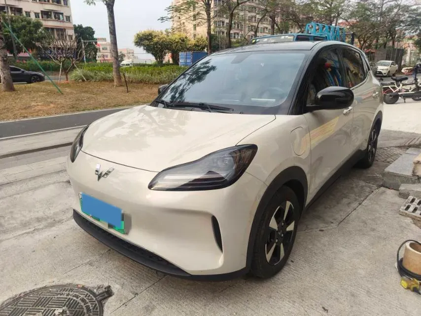 2024 WuLing BinGuoPLUS BEV 31.9KWH,autocango,china used car exporter,china ev exporter,chinese used car exporter,chinese used ev exporter