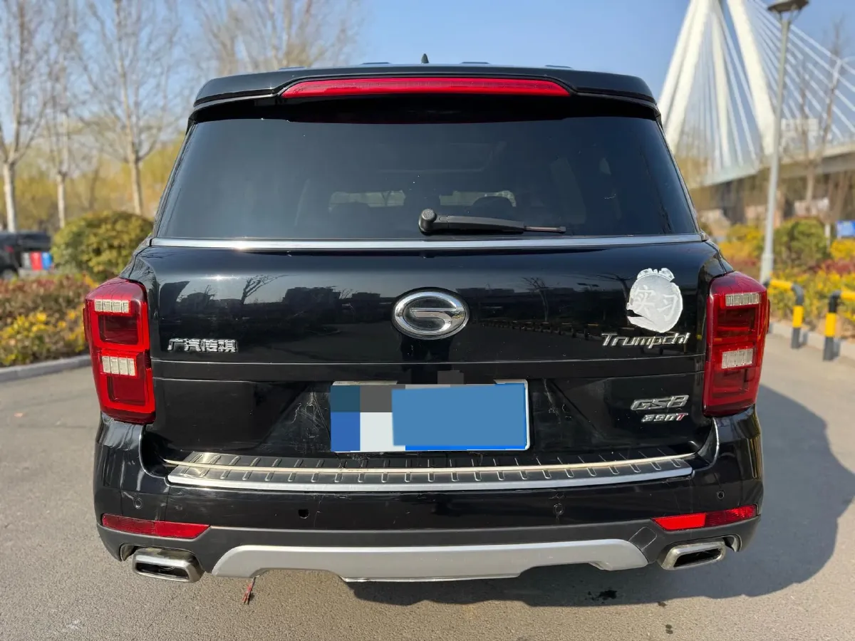 2019 GAC Trumpchi GS8 2.0T 252HP L4 6AT,autocango,china used car exporter,china ev exporter,chinese used car exporter,chinese used ev exporter