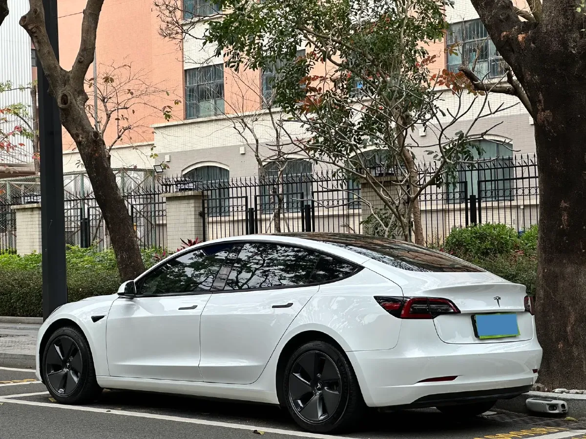 2021 Tesla Model 3 BEV 55KWH,autocango,china used car exporter,china ev exporter,chinese used car exporter,chinese used ev exporter