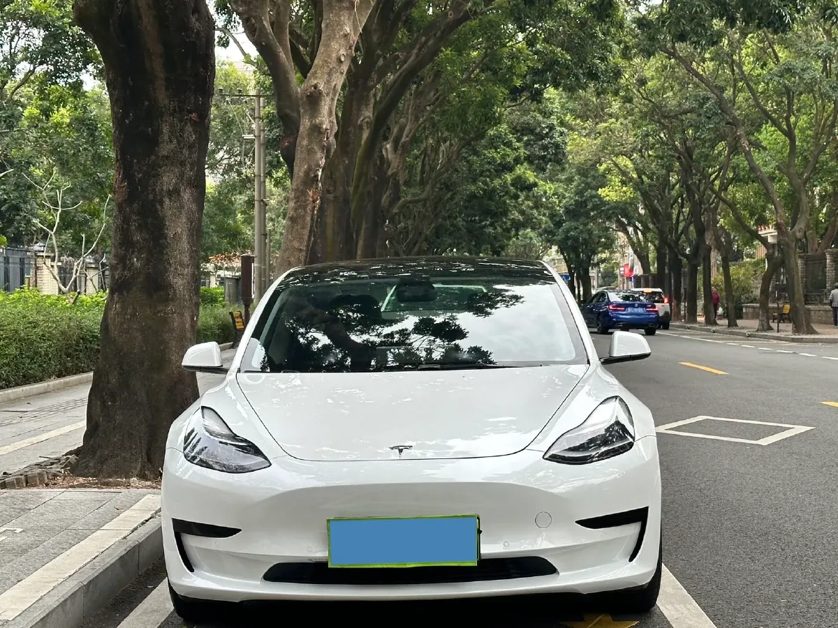 2021 Tesla Model 3 BEV 55KWH,autocango,china used car exporter,china ev exporter,chinese used car exporter,chinese used ev exporter