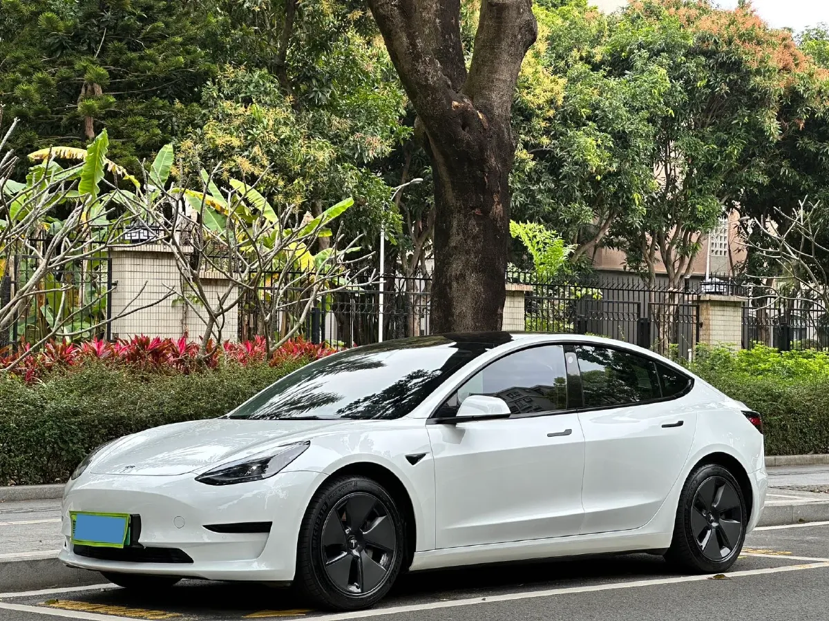 2021 Tesla Model 3 BEV 55KWH,autocango,china used car exporter,china ev exporter,chinese used car exporter,chinese used ev exporter