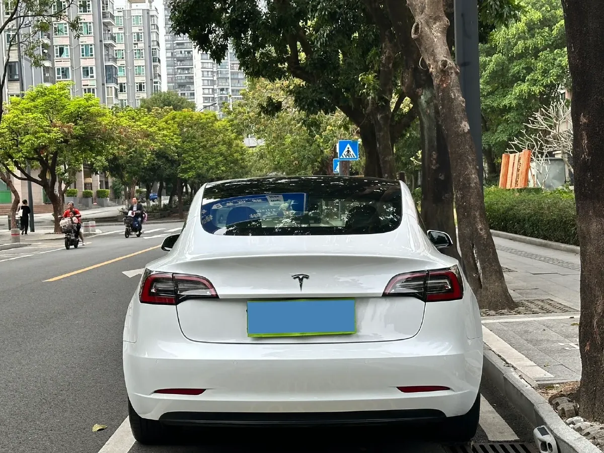 2021 Tesla Model 3 BEV 55KWH,autocango,china used car exporter,china ev exporter,chinese used car exporter,chinese used ev exporter