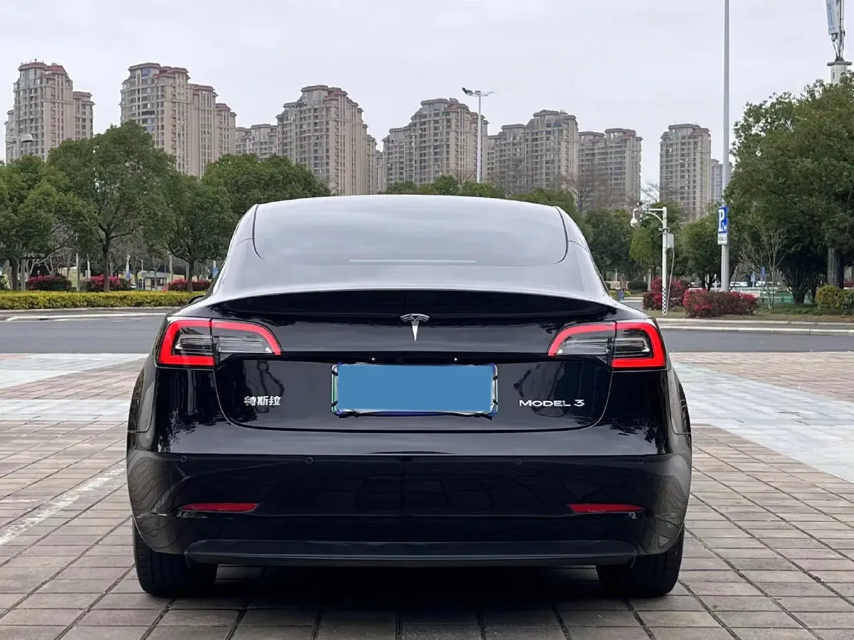 2021 Tesla Model 3 BEV 55KWH,autocango,china used car exporter,china ev exporter,chinese used car exporter,chinese used ev exporter