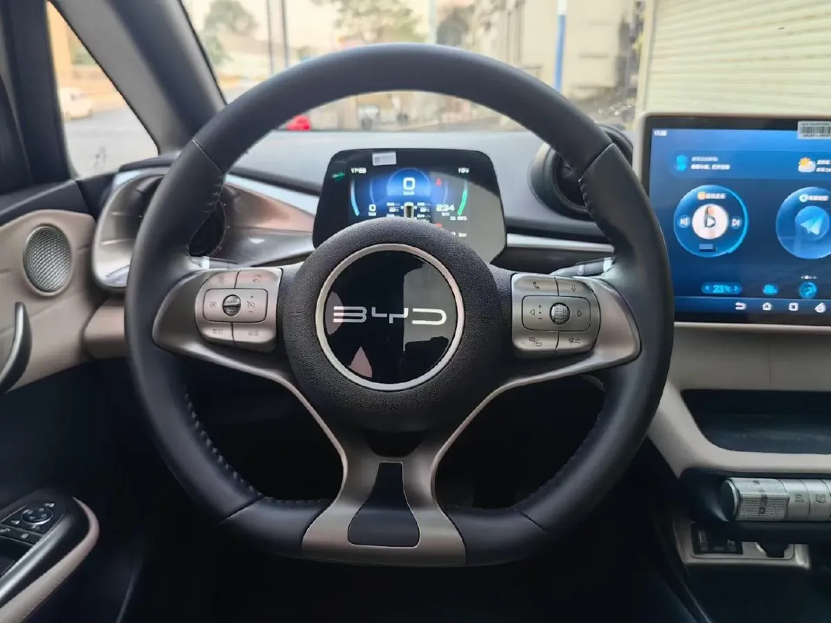 2023 BYD Dolphin BEV 44.928KWH,autocango,china used car exporter,china ev exporter,chinese used car exporter,chinese used ev exporter