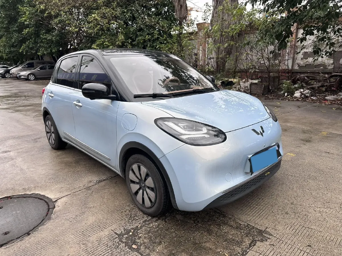 2025 WuLing BinGuo BEV,autocango,china used car exporter,china ev exporter,chinese used car exporter,chinese used ev exporter