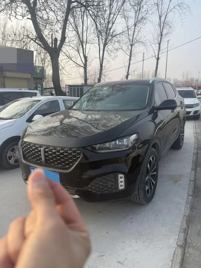 2020 WEY VV6 2.0T 227HP L4 7DCT,autocango,china used car exporter,china ev exporter,chinese used car exporter,chinese used ev exporter