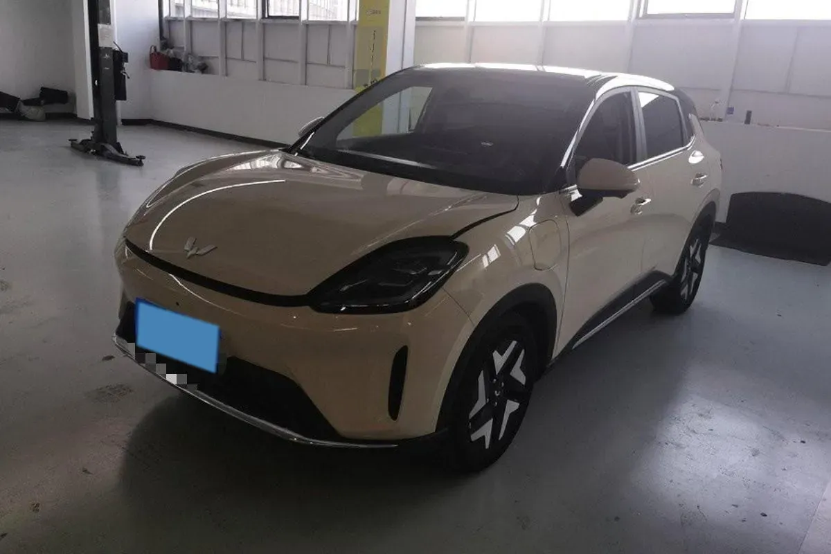 2025 WuLing BinGuo BEV,autocango,china used car exporter,china ev exporter,chinese used car exporter,chinese used ev exporter