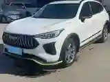 2022 Haval Rabbit 1.5T 150HP L4 7DCT