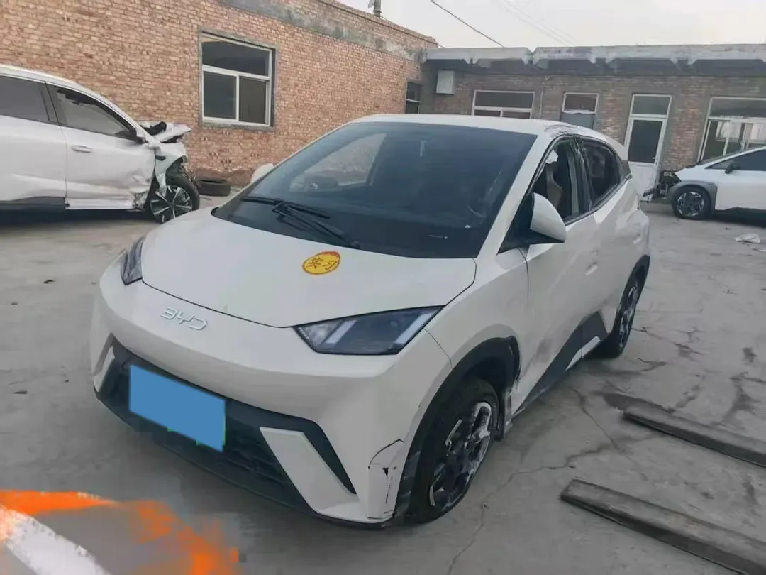 2024 BYD Seagull BEV 38.88KWH,autocango,china used car exporter,china ev exporter,chinese used car exporter,chinese used ev exporter