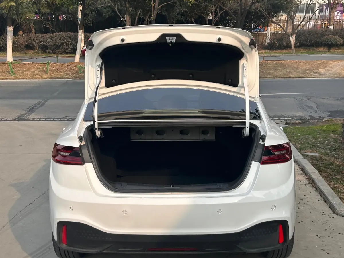 2021 Foton TuYaNuo 2.5T 150HP L4 6AT,autocango,china used car exporter,china ev exporter,chinese used car exporter,chinese used ev exporter