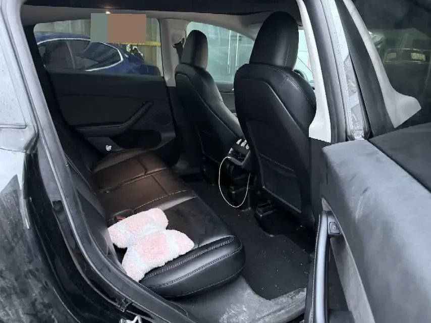 2021 Tesla Model 3 BEV 76.8KWH,autocango,china used car exporter,china ev exporter,chinese used car exporter,chinese used ev exporter