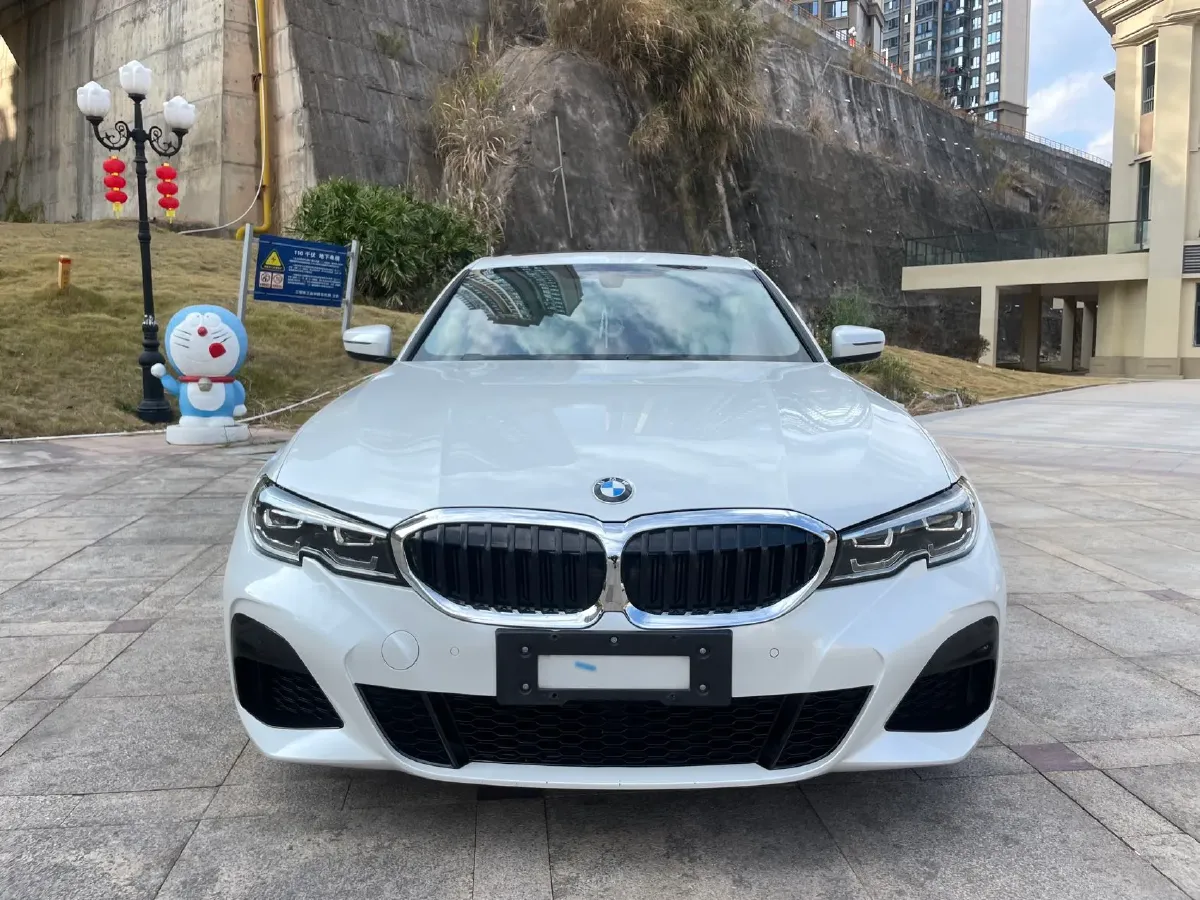 2021 BMW 3 Series 2.0T 156HP L4 8AT,autocango,china used car exporter,china ev exporter,chinese used car exporter,chinese used ev exporter
