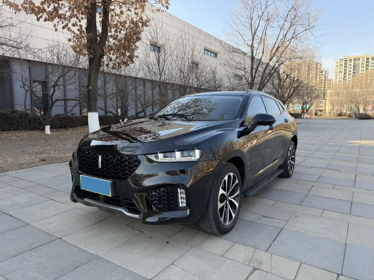 2017 WEY VV7 2.0T 234HP L4 7DCT,autocango,china used car exporter,china ev exporter,chinese used car exporter,chinese used ev exporter