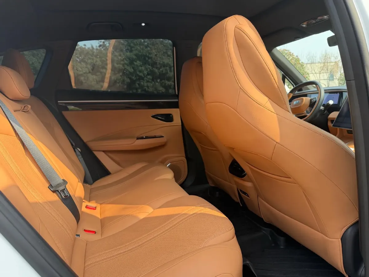 2025 BYD Sea Lion 05 DM-i 1.5L 101HP L4 E-CVT PHEV 18.3KWH,autocango,china used car exporter,china ev exporter,chinese used car exporter,chinese used ev exporter