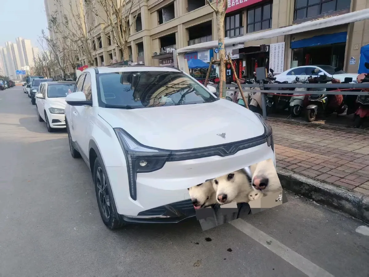 2022 Ford Focus 1.5T 177HP L4 6AT,autocango,china used car exporter,china ev exporter,chinese used car exporter,chinese used ev exporter