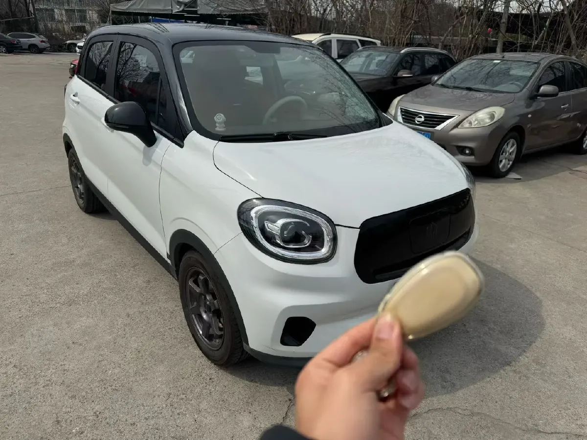 2022 Levdeo Mango BEV 29.44KWH,autocango,china used car exporter,china ev exporter,chinese used car exporter,chinese used ev exporter