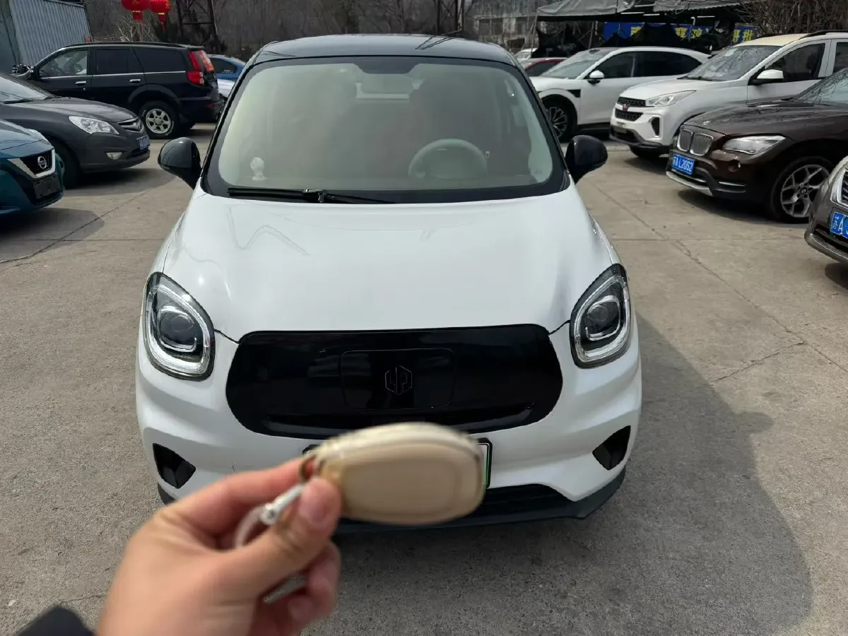 2022 Levdeo Mango BEV 29.44KWH,autocango,china used car exporter,china ev exporter,chinese used car exporter,chinese used ev exporter