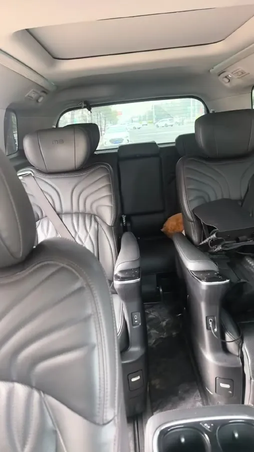 2024 GAC Trumpchi M8 2.0T 252HP L4 8AT,autocango,china used car exporter,china ev exporter,chinese used car exporter,chinese used ev exporter